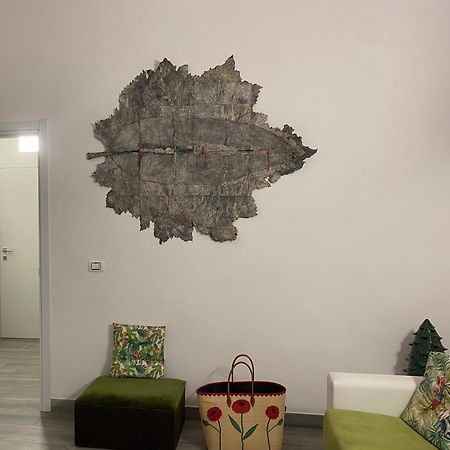 ביצ'לייה Iris Apartment מראה חיצוני תמונה