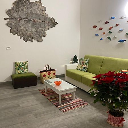 ביצ'לייה Iris Apartment מראה חיצוני תמונה