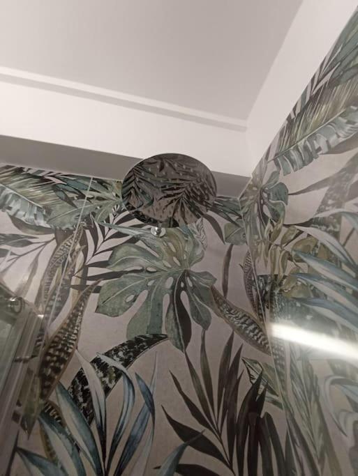 ביצ'לייה Iris Apartment מראה חיצוני תמונה
