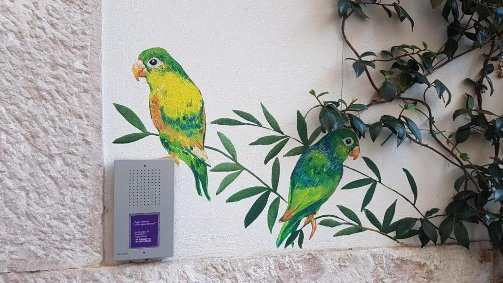 ביצ'לייה Iris Apartment מראה חיצוני תמונה