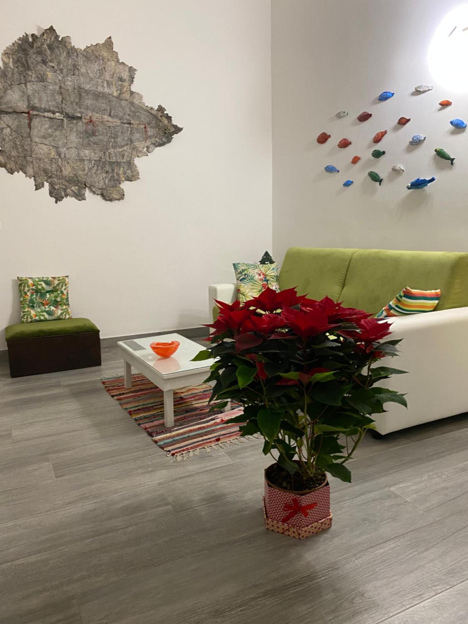 ביצ'לייה Iris Apartment מראה חיצוני תמונה